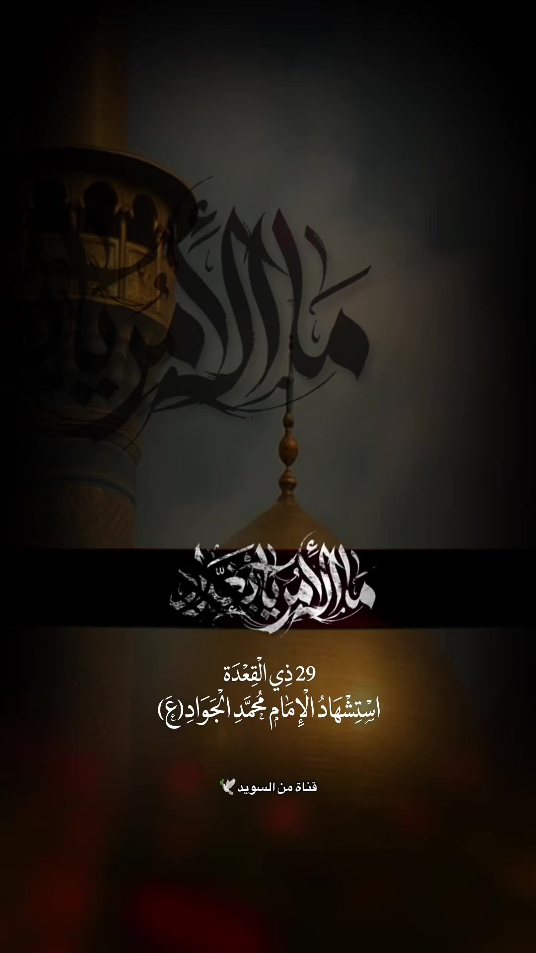 @Sayed Hassan.