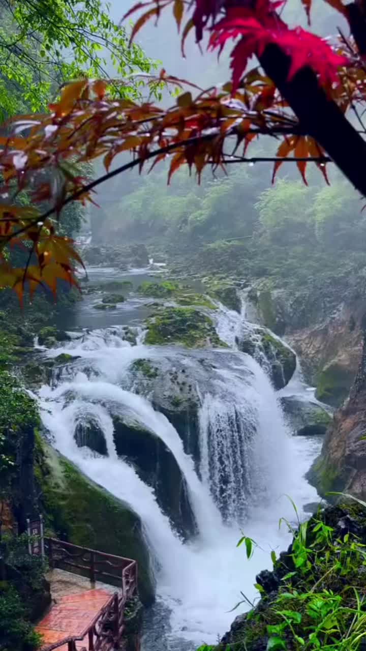 @azizararou