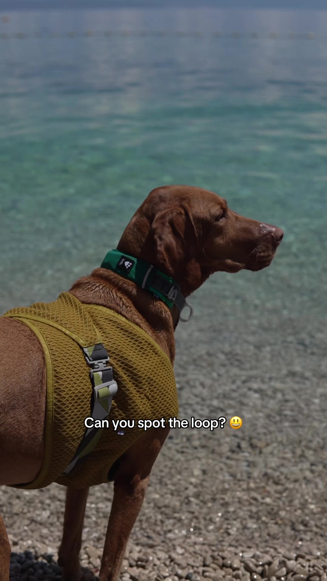 @𝐋𝐮𝐧𝐚