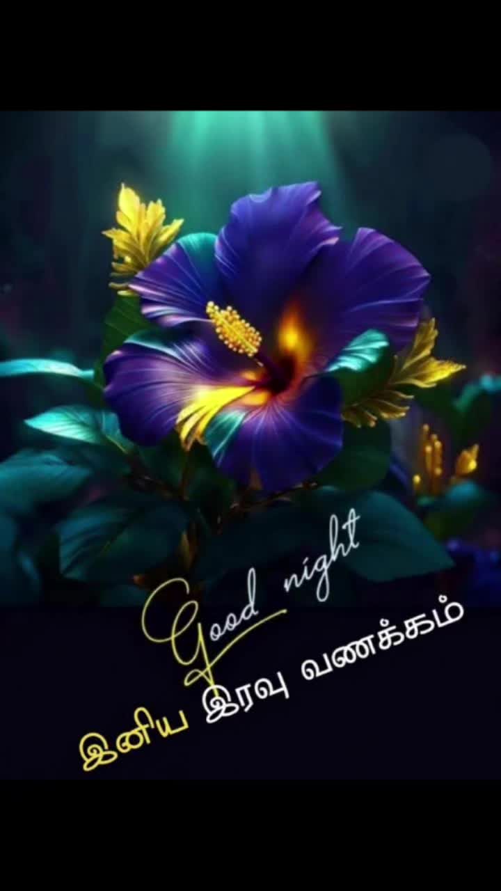 @Sai Meena