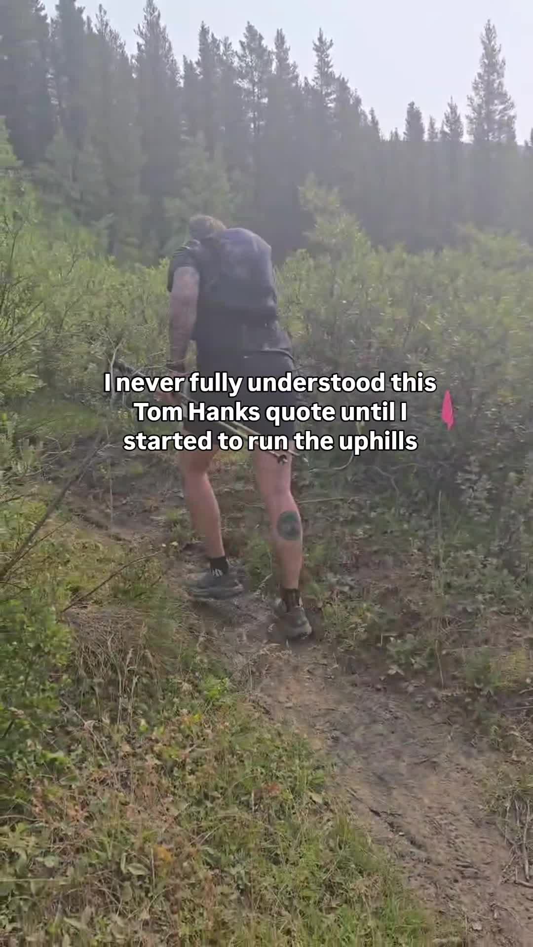 @Banff Trail Running & Wildlife