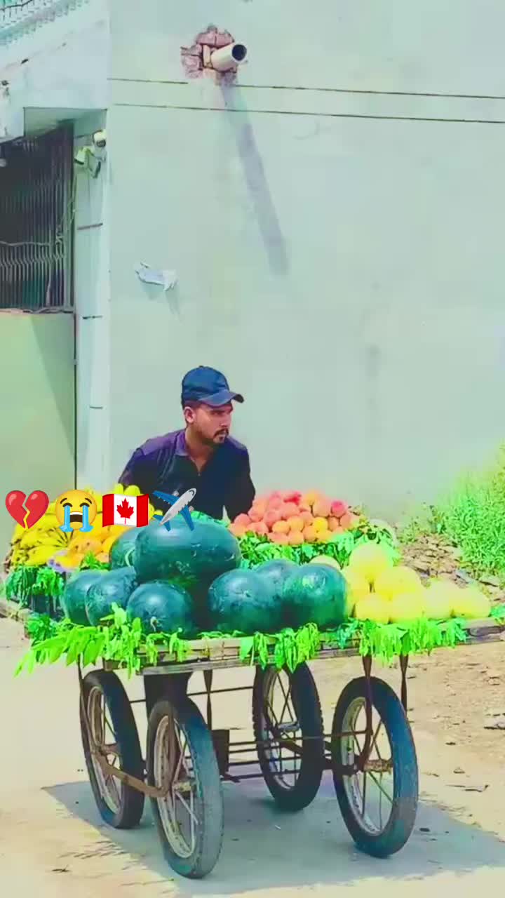 @Fruit Wala 🍎
