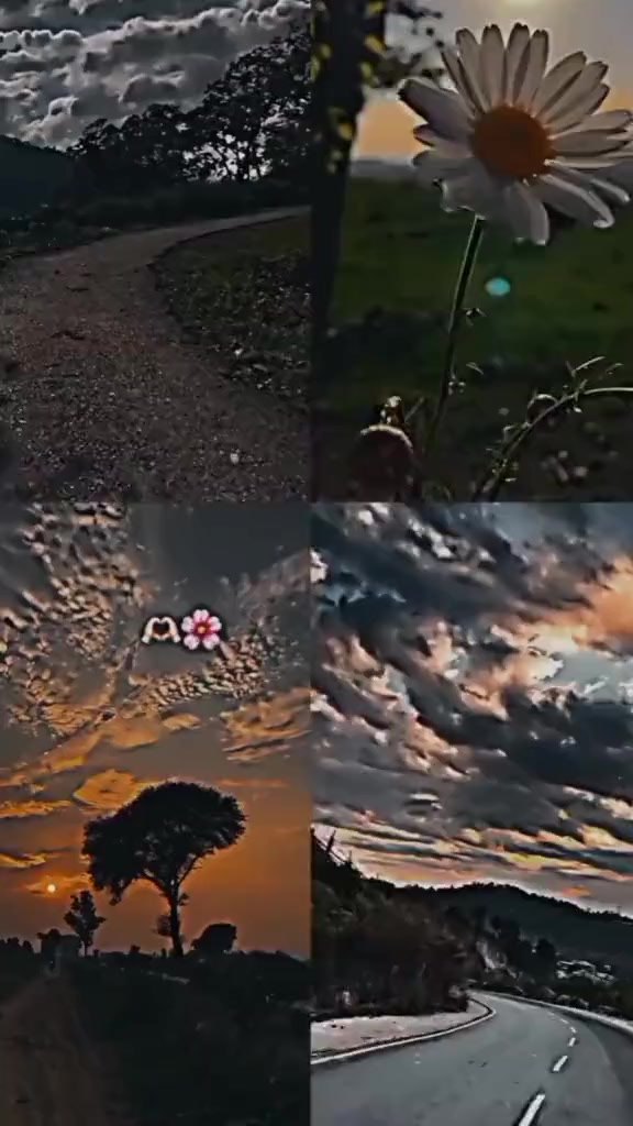 @_★𝑆𝑜𝑛𝑢★_