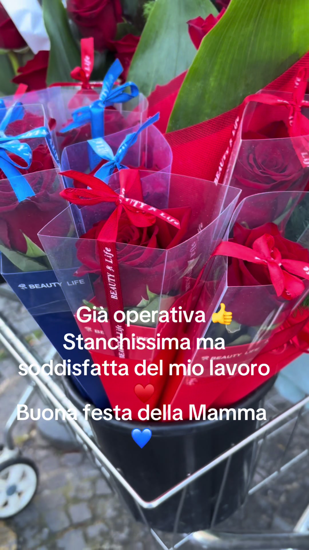 @Rosa Cozzolino