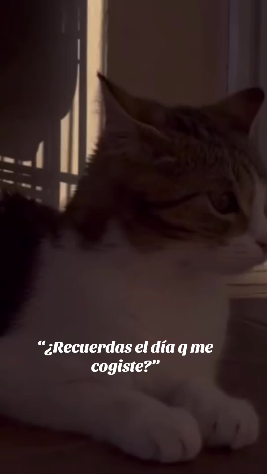 @Janice Vi&ntilde;uela Bejar
