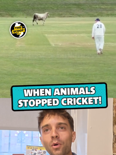 @Wisden Cricket