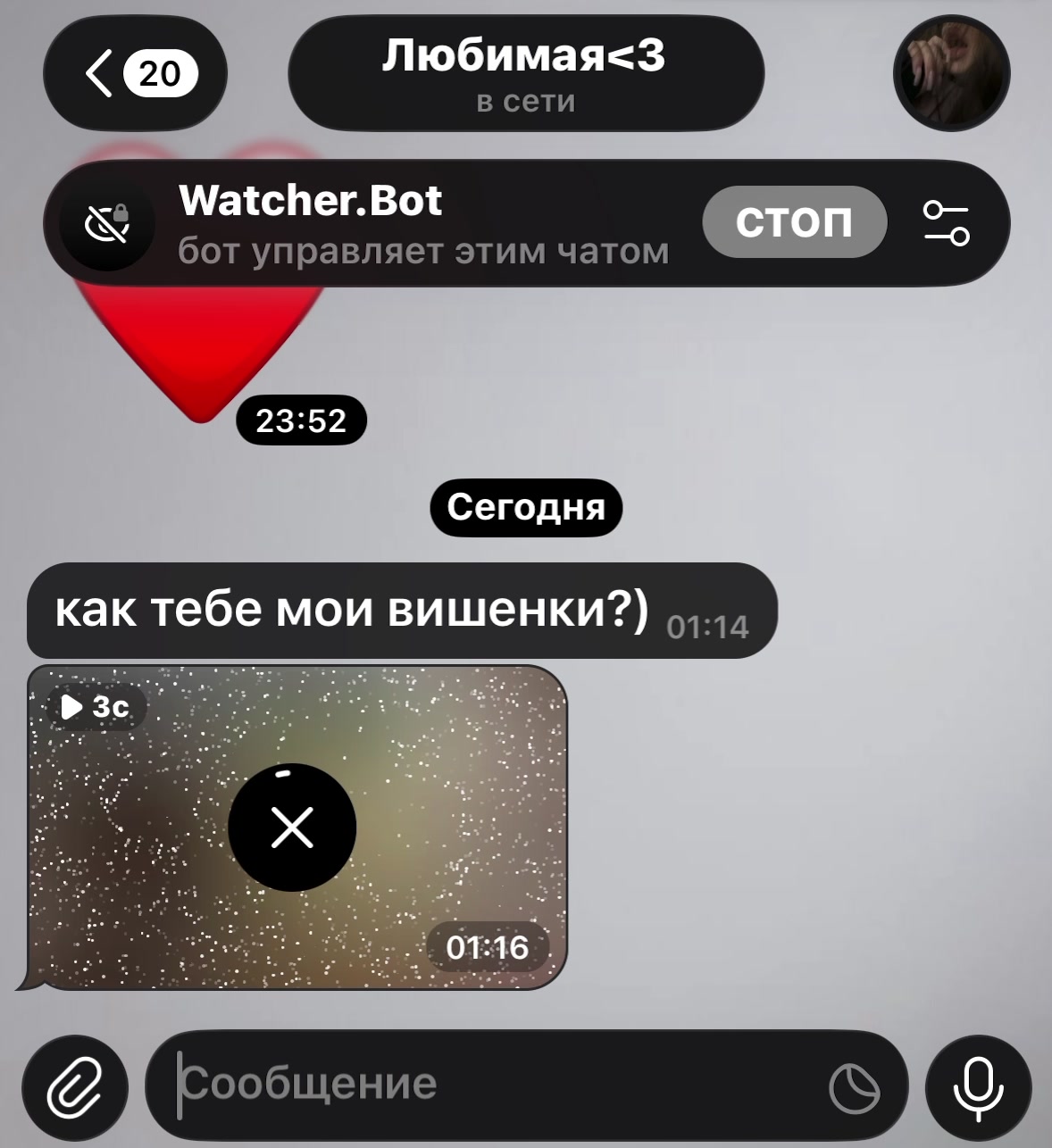 @Watcher.Bot
