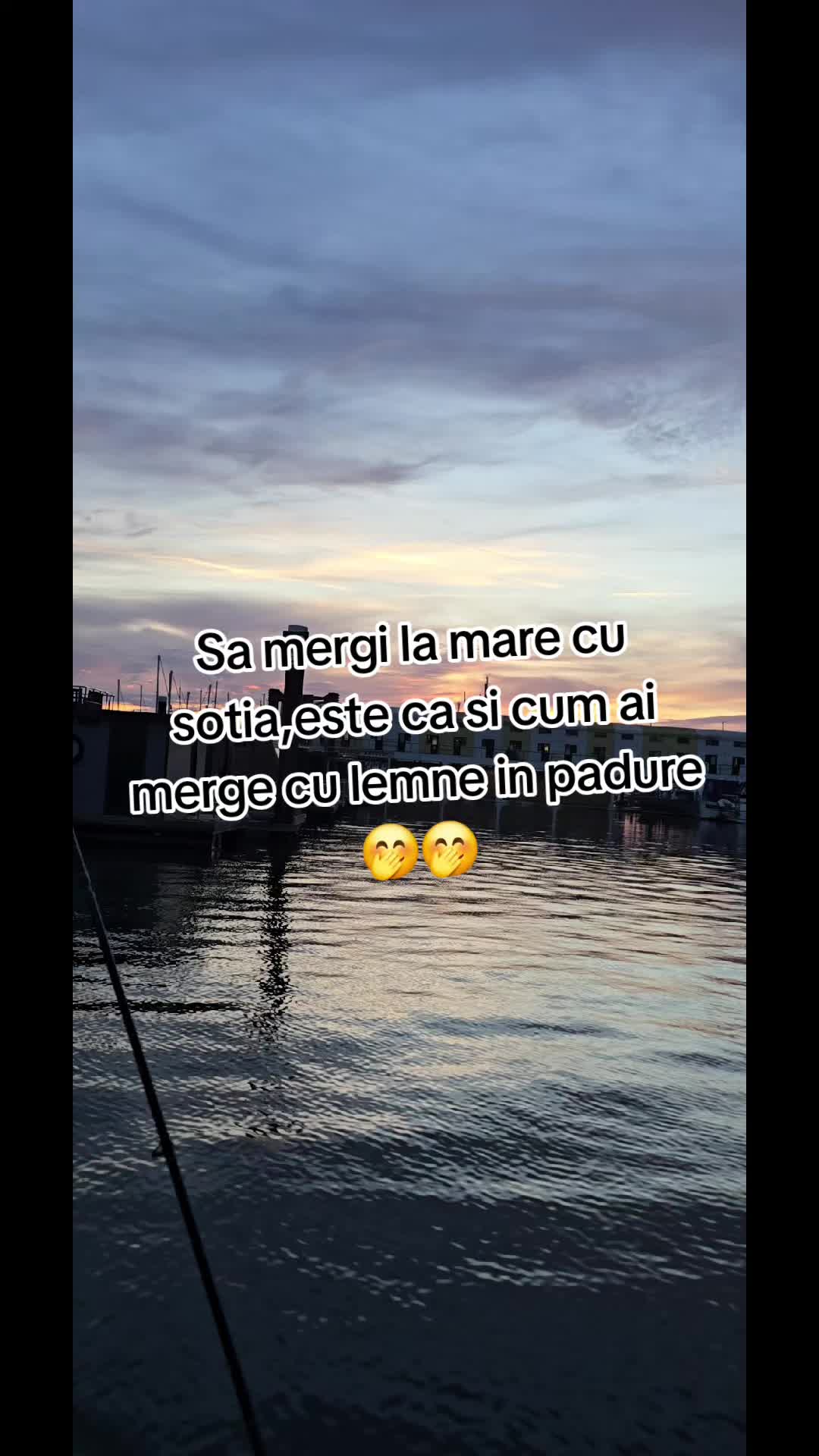 @Citate869