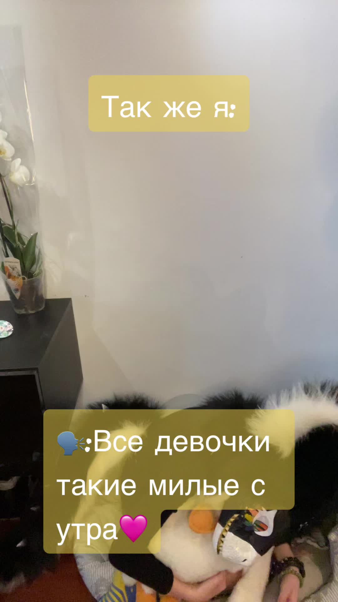 @Фуря Лина🐾