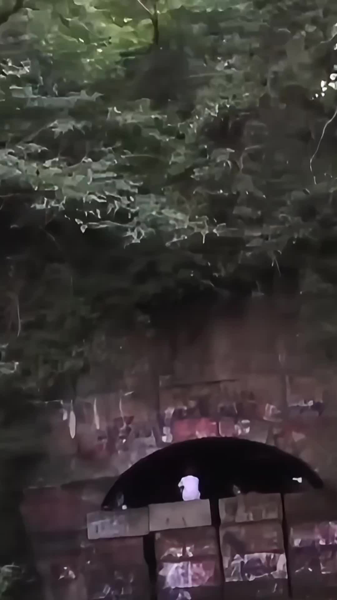 @CreepyVideos