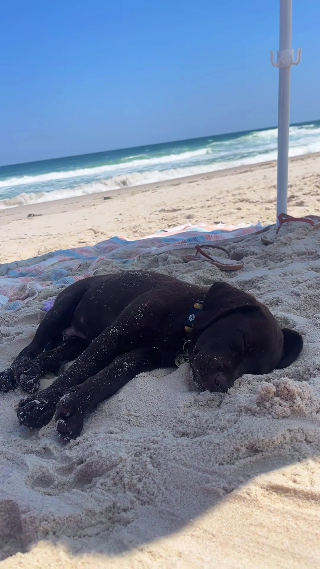 @guinness_beau