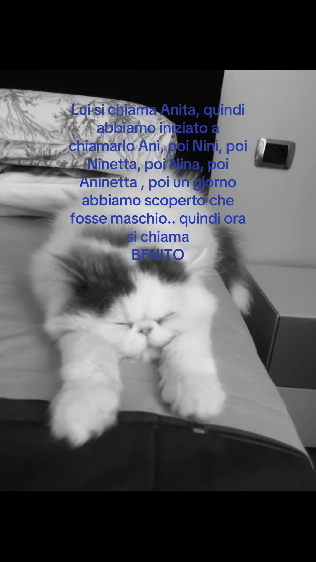 @alixs.___