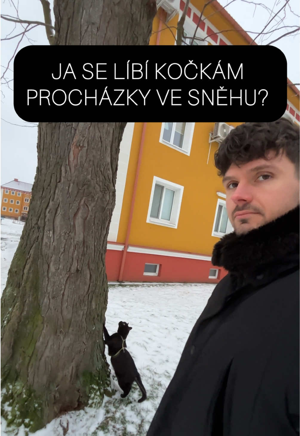 @Šimon