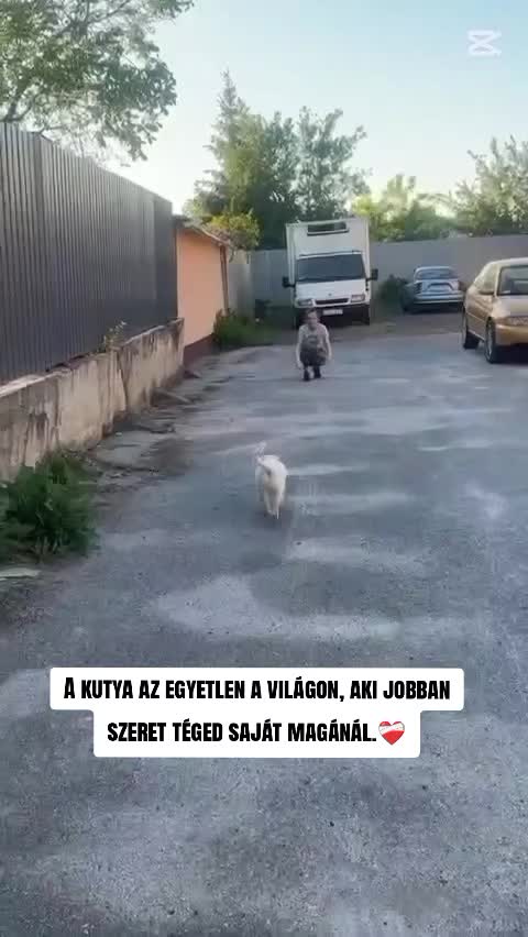 @Szancsy Kopezda
