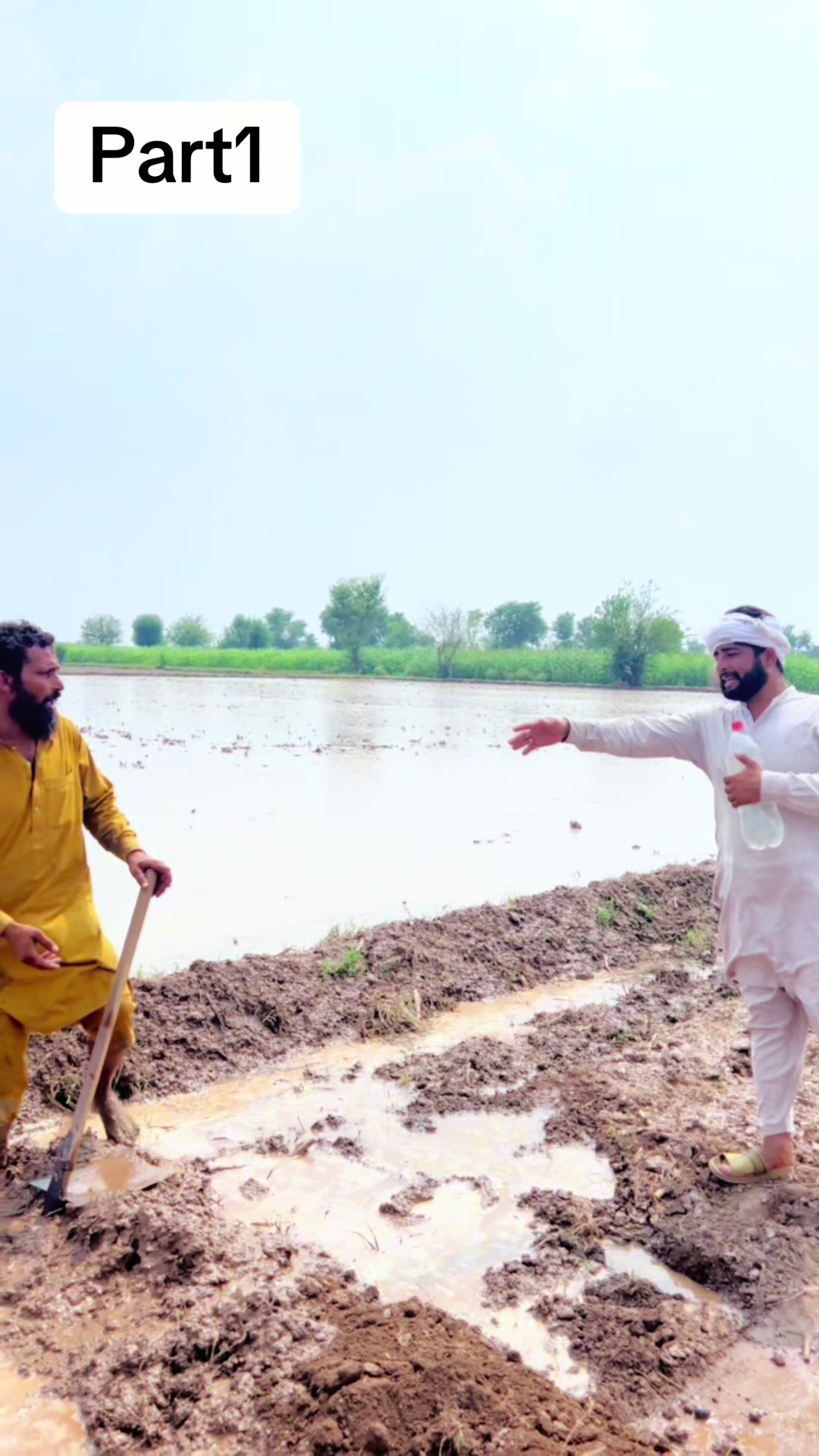 @پینڈو بوائز 378