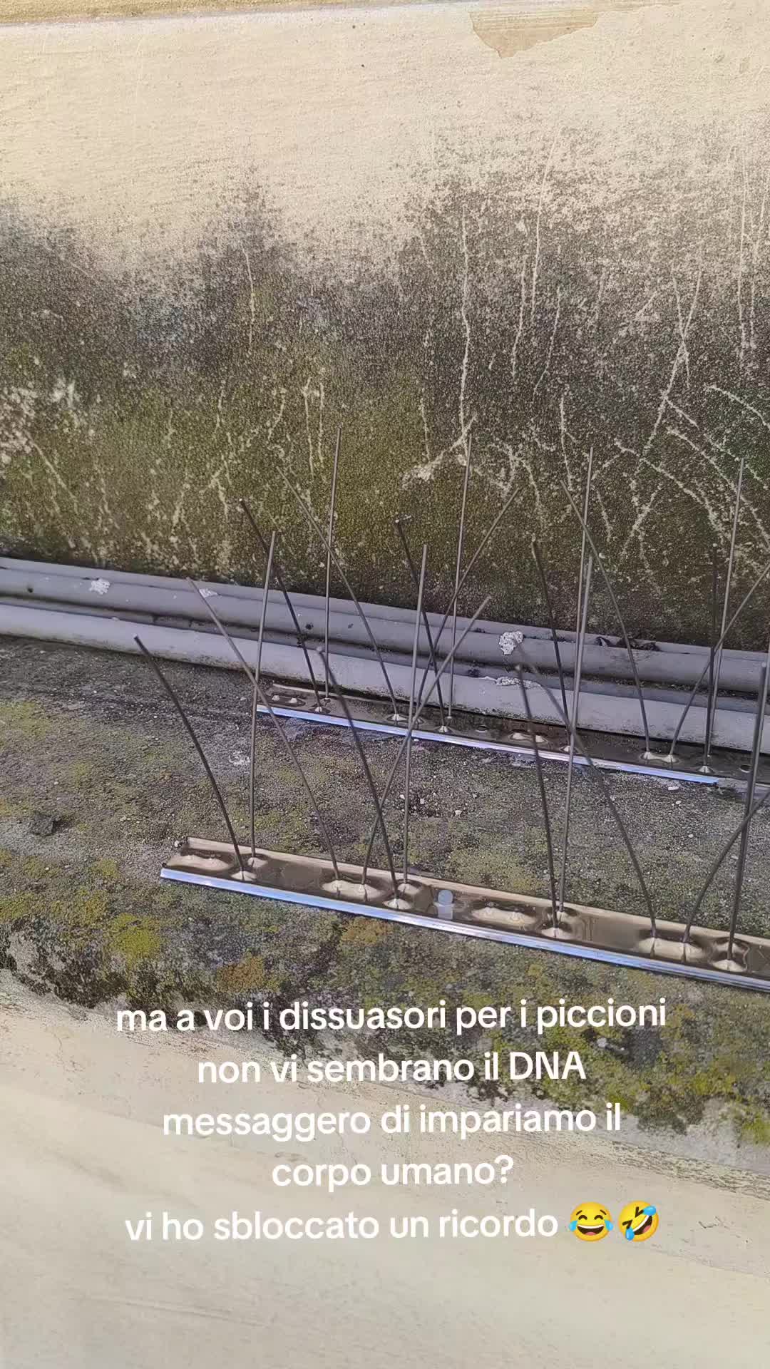 @Salvatore Freuli