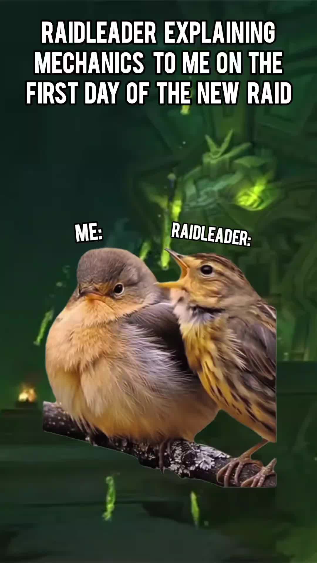 @Shax