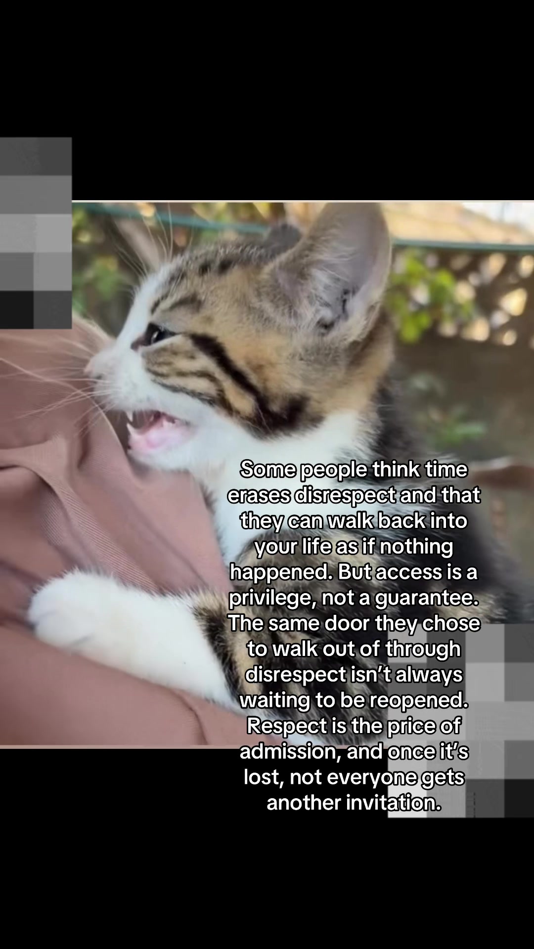 @Shamima