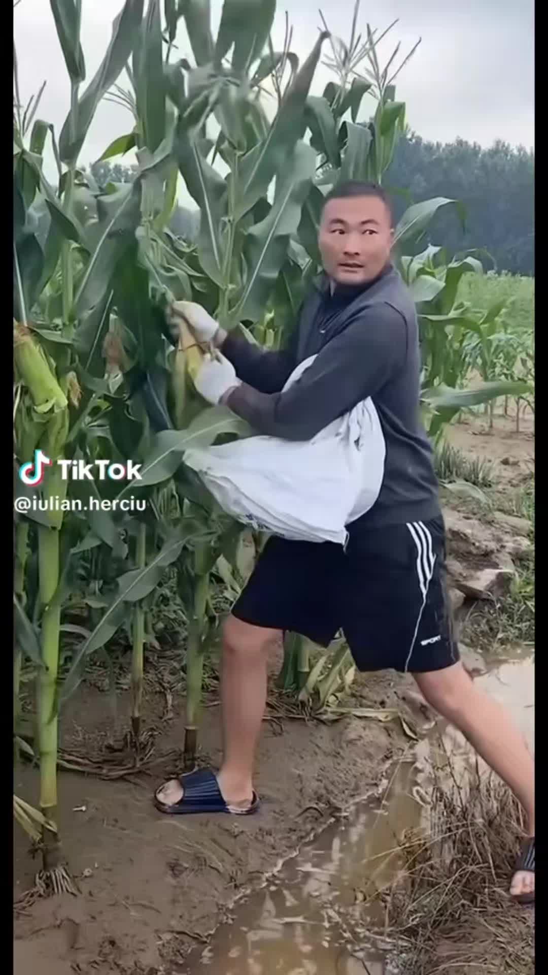 @Văru Nik