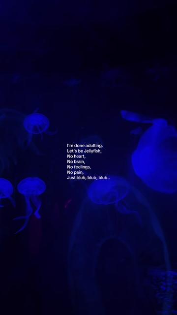 @✨ ᴛɪꜰꜰ ᴛᴏᴋᴋ ᴛɪꜰꜰ ✨