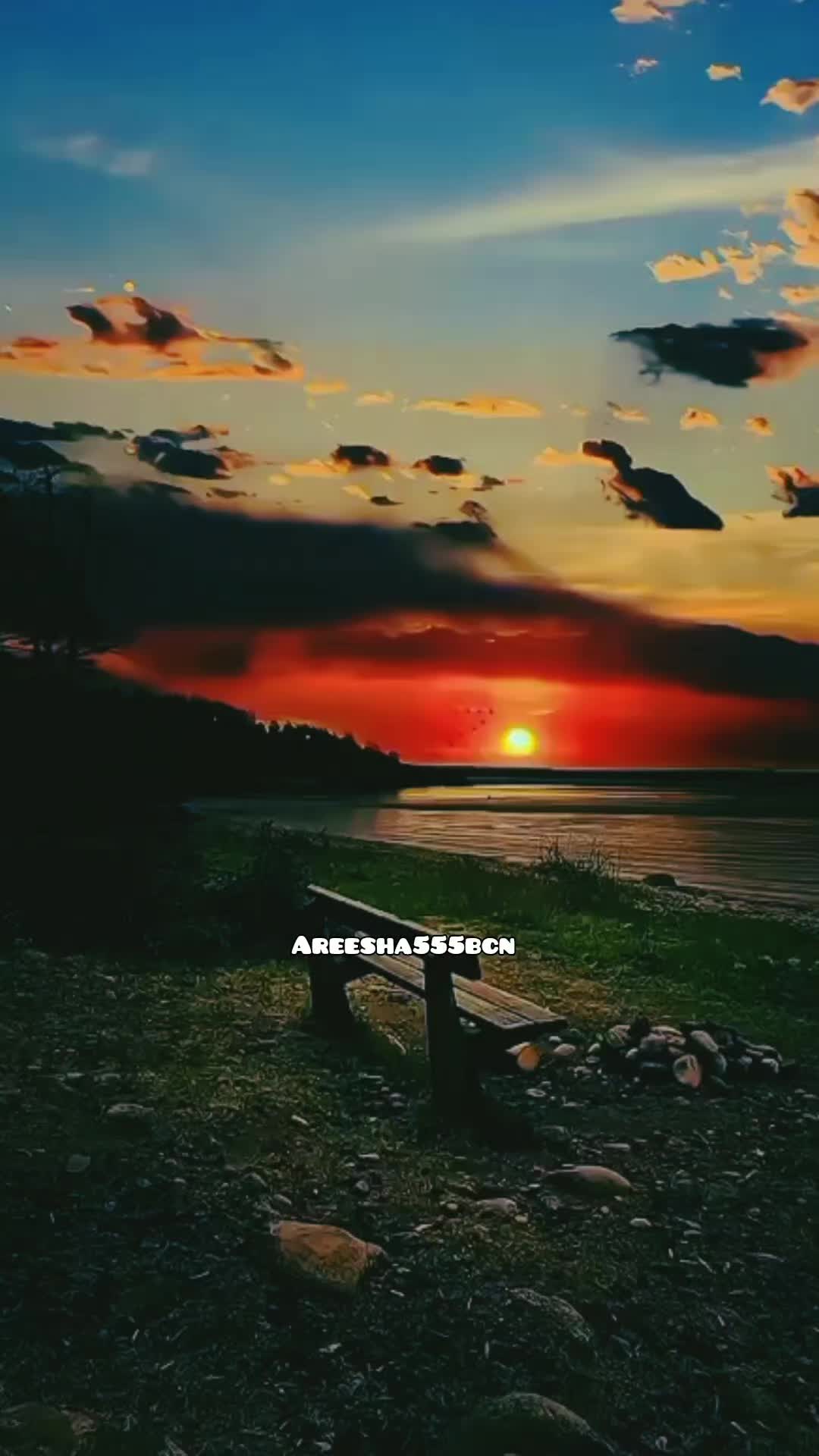 @Areesha