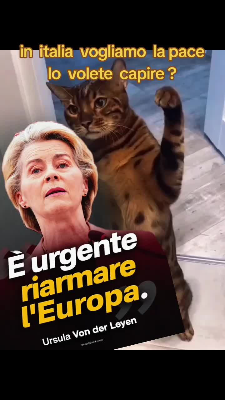 @Cicciolone CiccioGrill