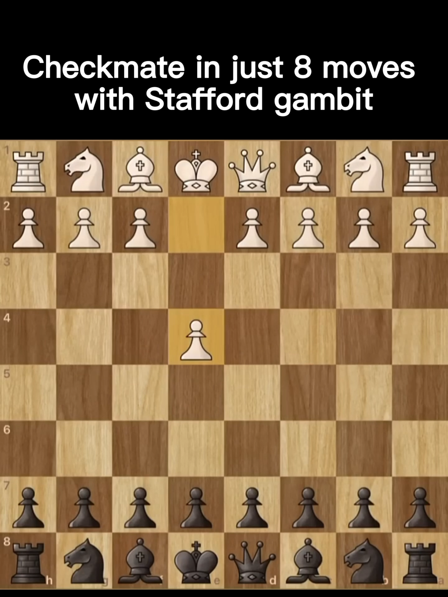 @chessline.io