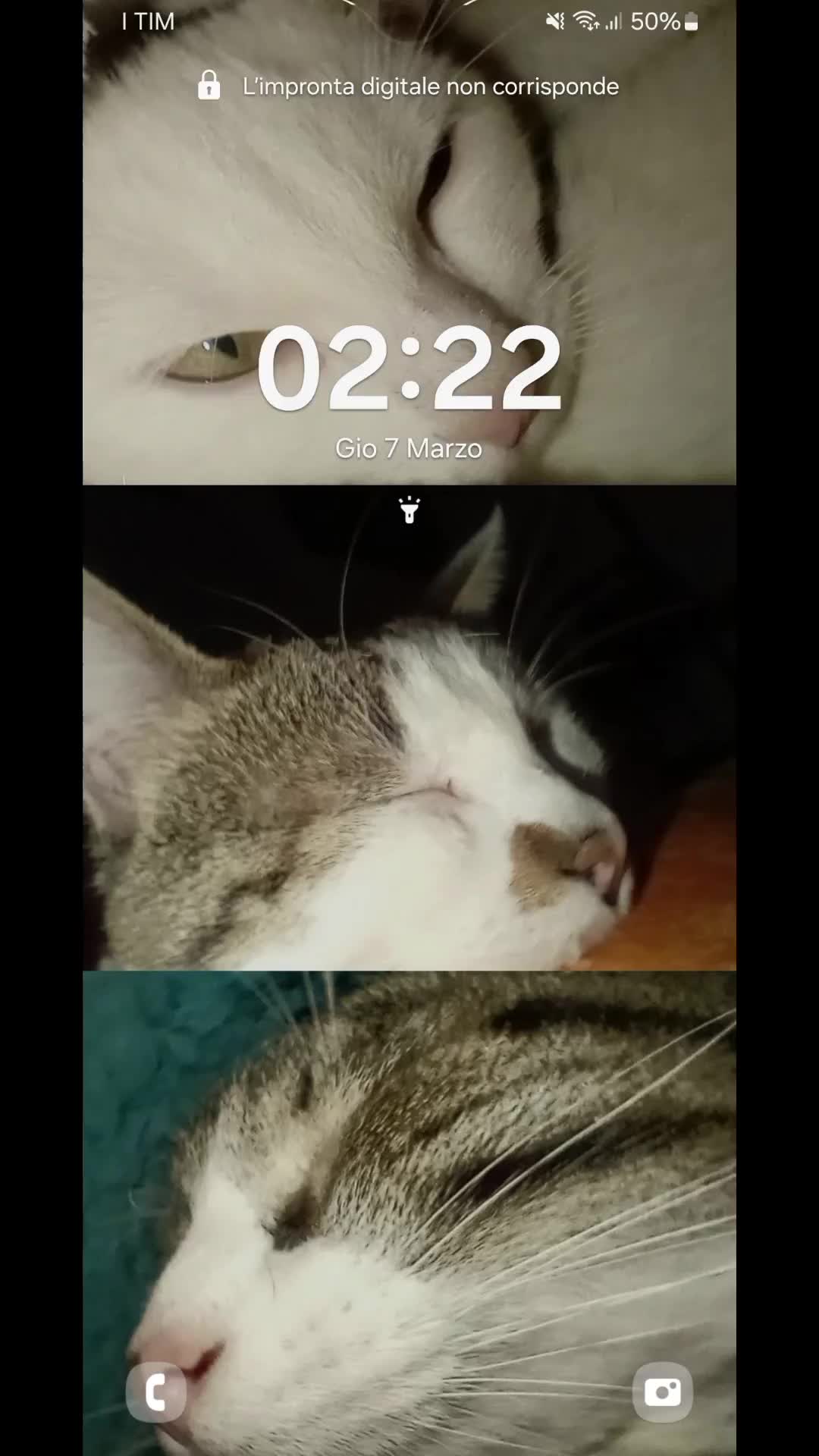 @🐈&zwj;⬛fusa01