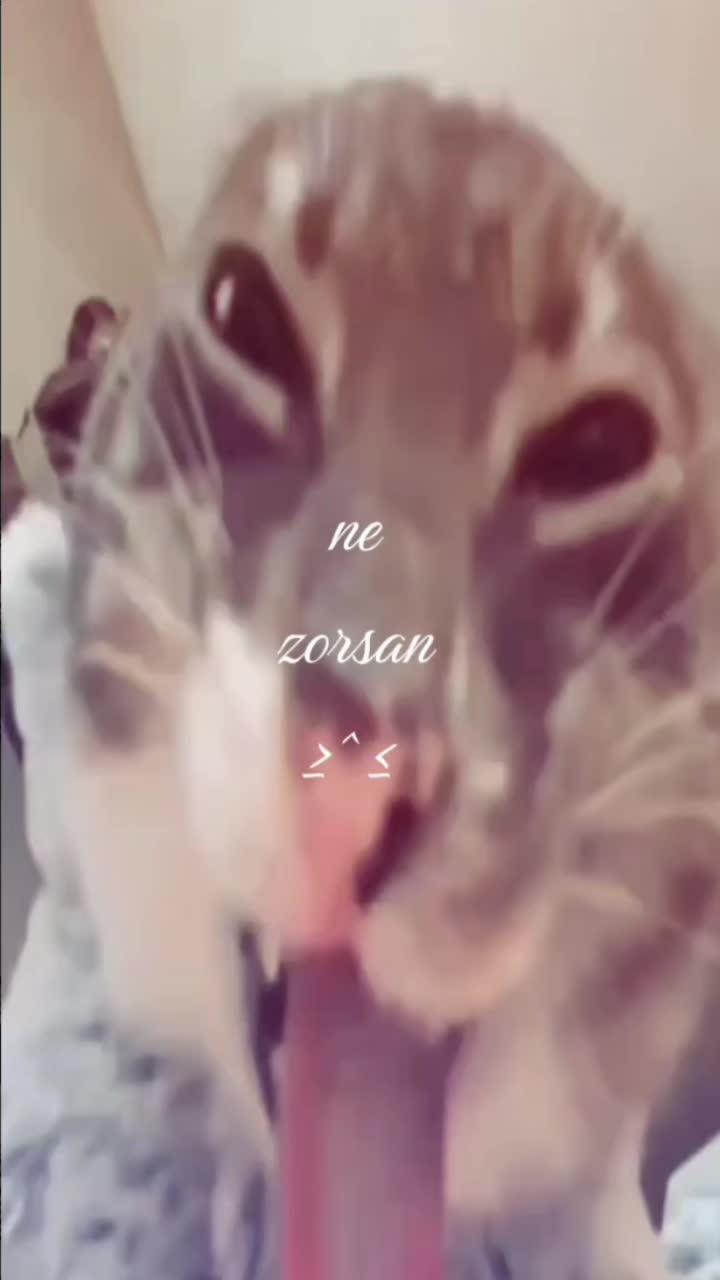 @MNS