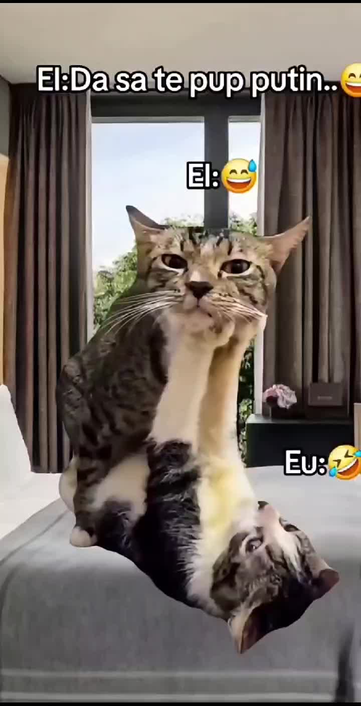 @Elena Cotia
