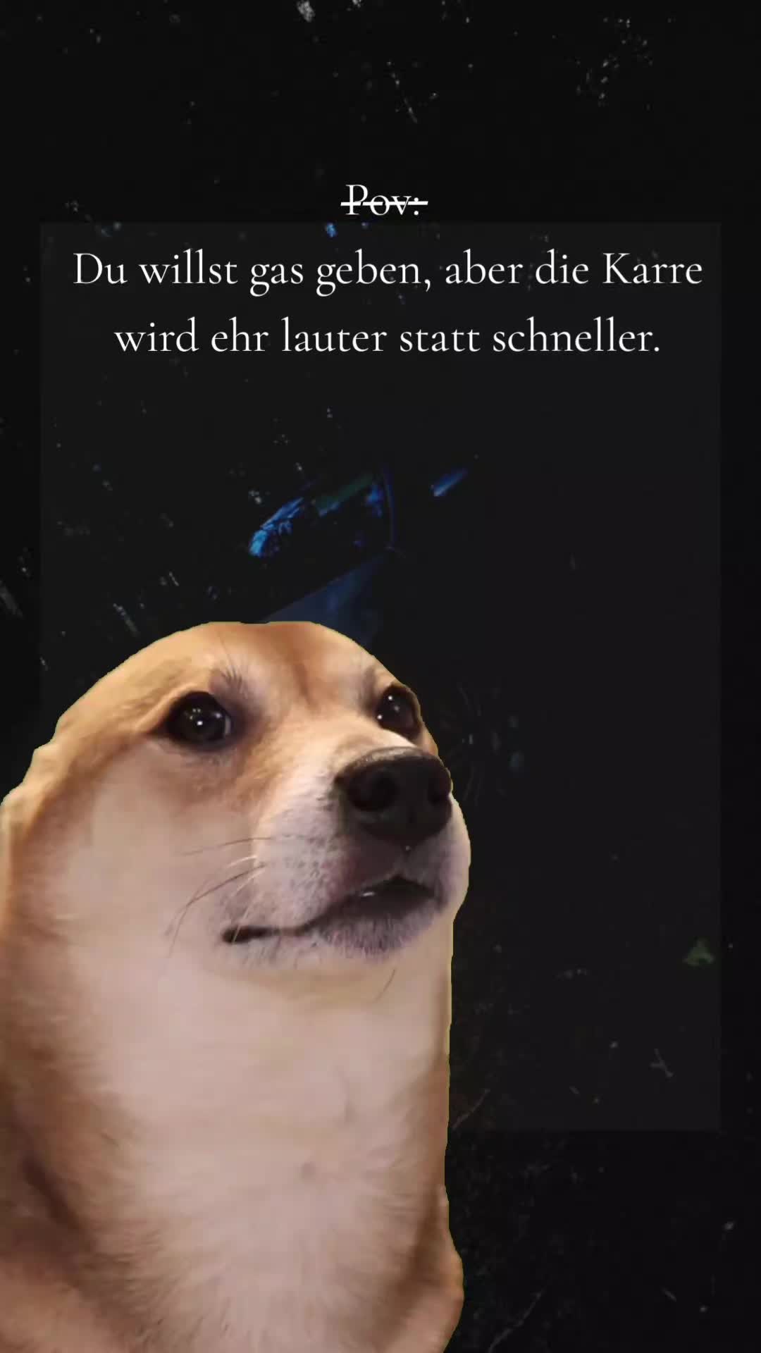 @✞⌁✞