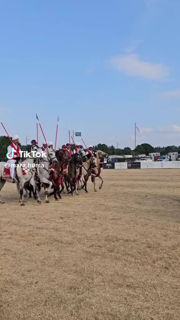 @Slough horses