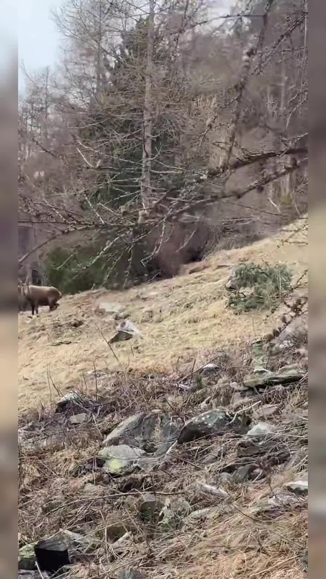 @Birobiro🚵&zwj;♂️