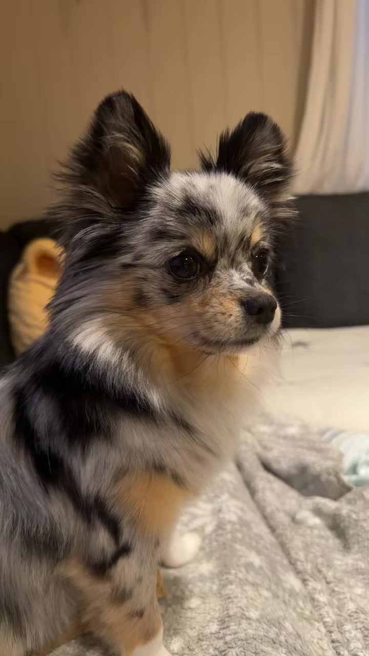 @Mia🐾🇳🇴