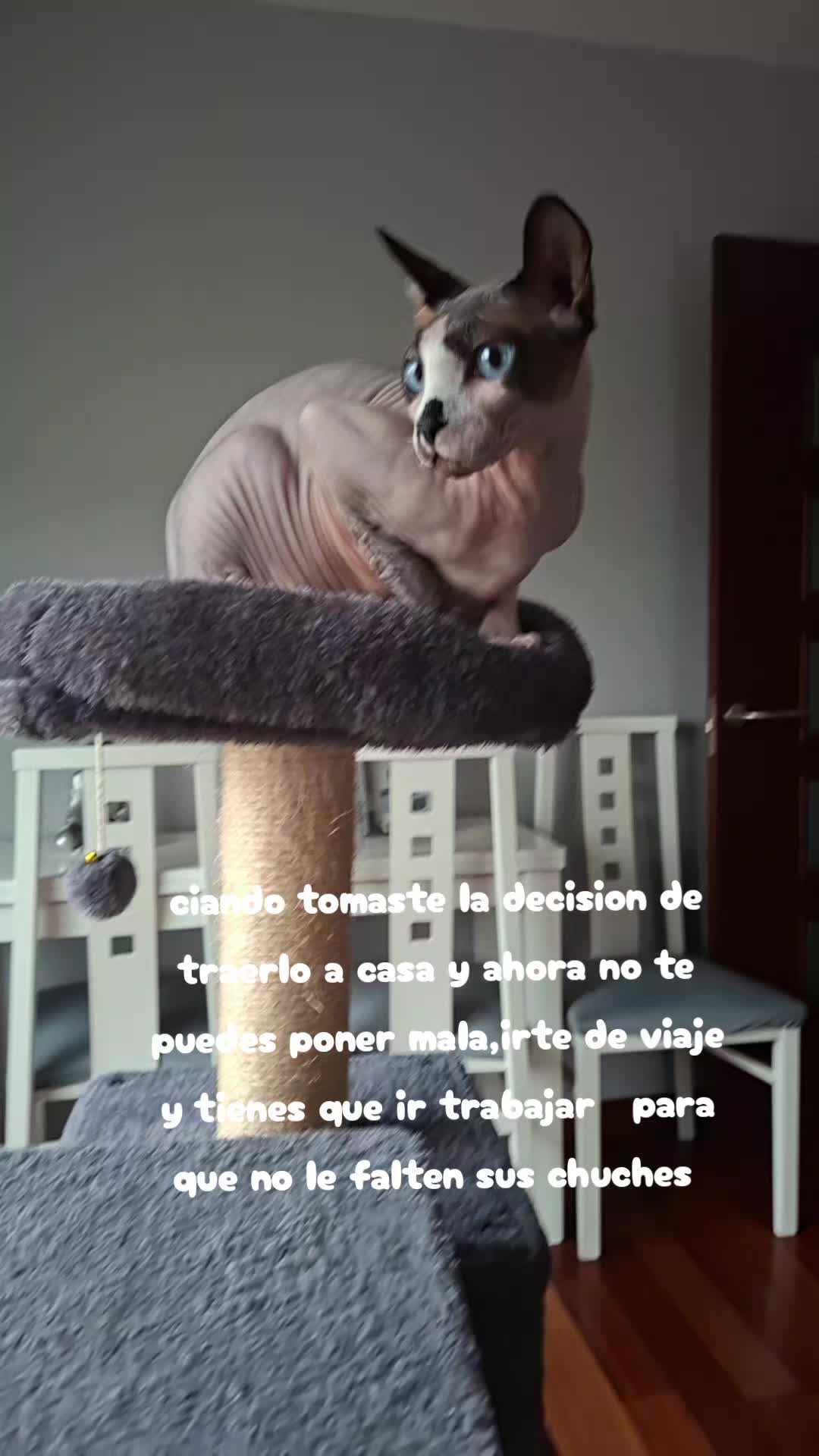 @Bea