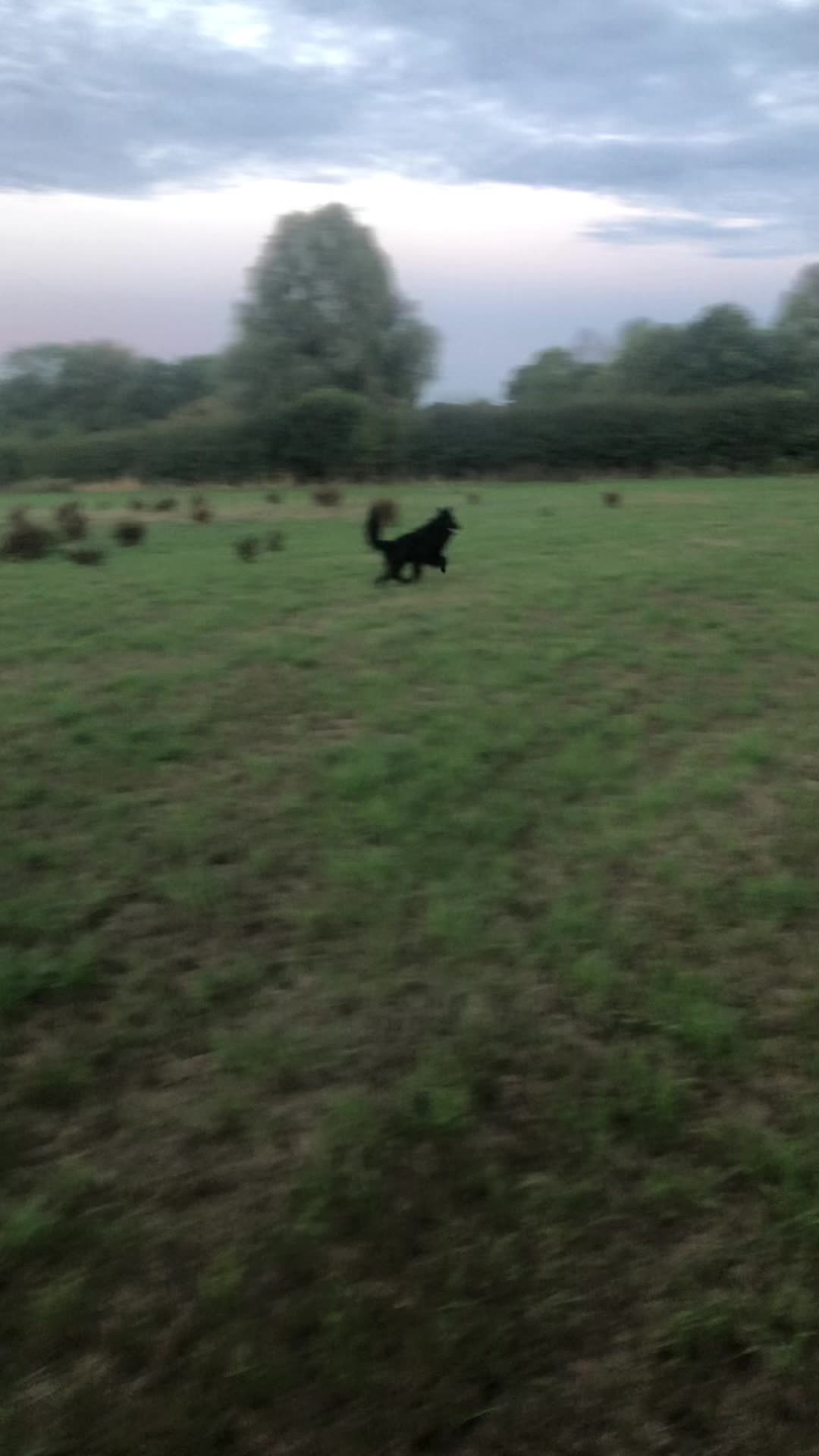 @🐶West Country K9s🐶