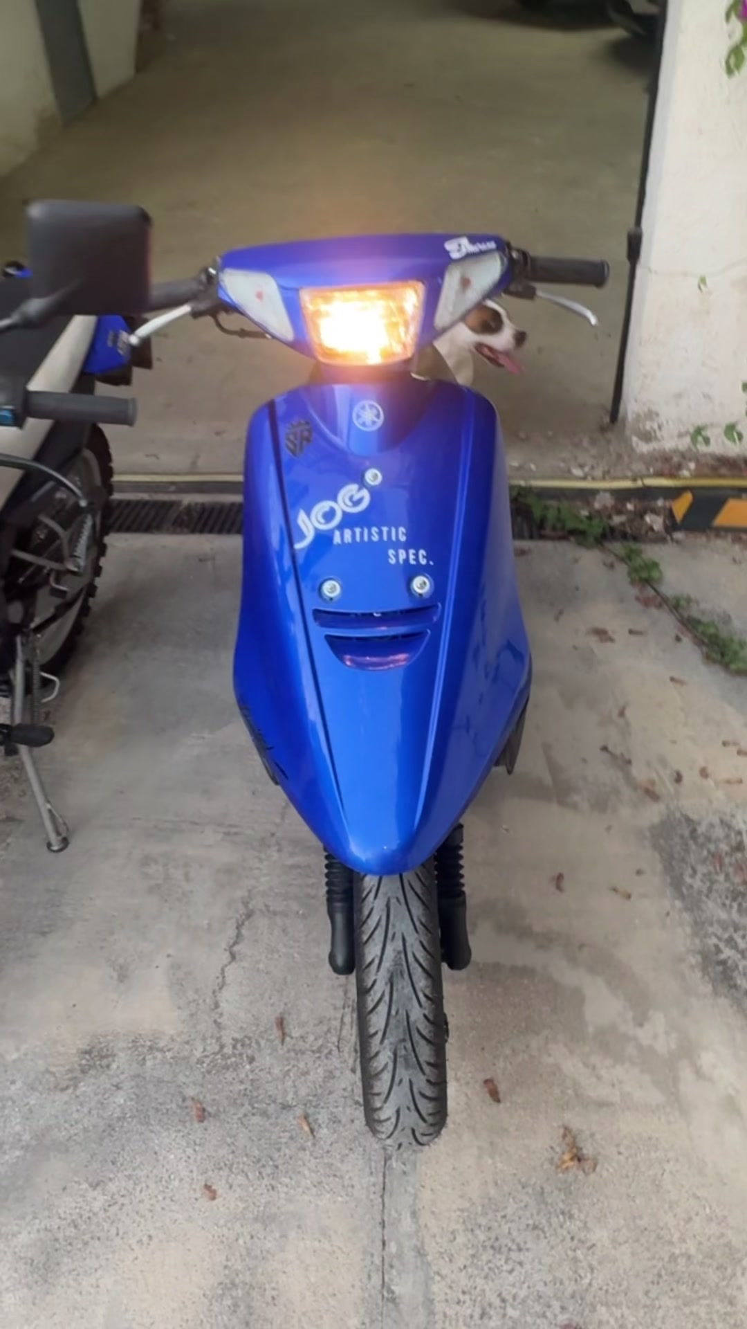 @Blue