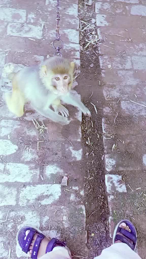 @𝙎𝘼𝙇𝙀𝙀𝙈 🚩 تحصیل حاصل پور