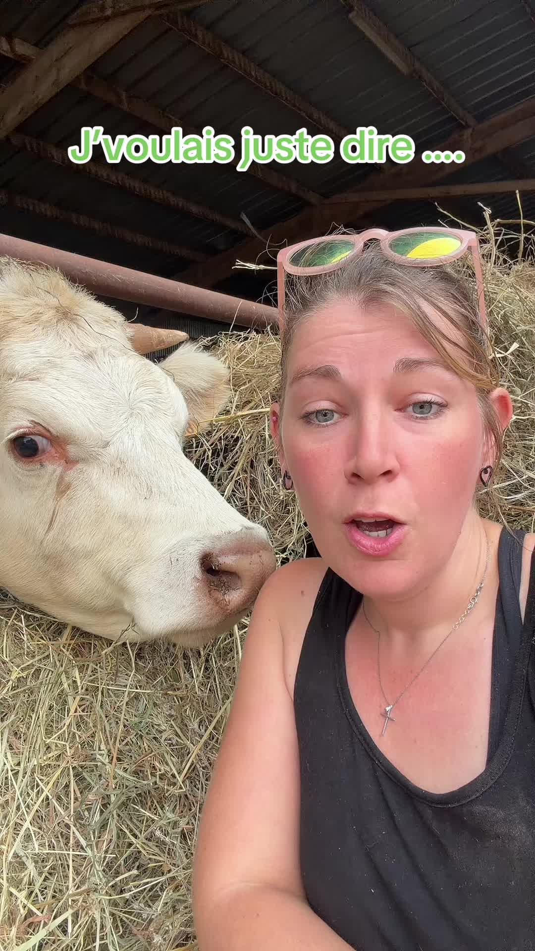 @ᏦᎥᎥᏦᏗᏗ 🌾🚜🐮