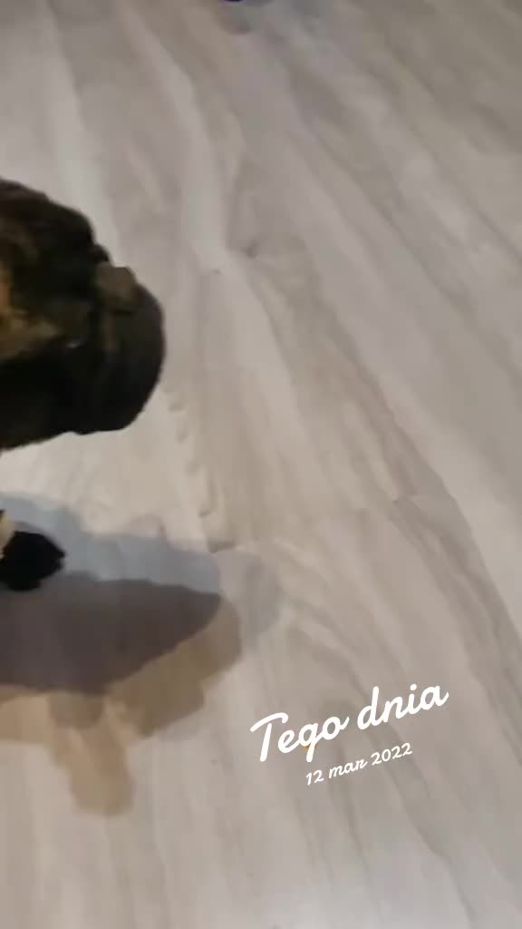 @malina.9696