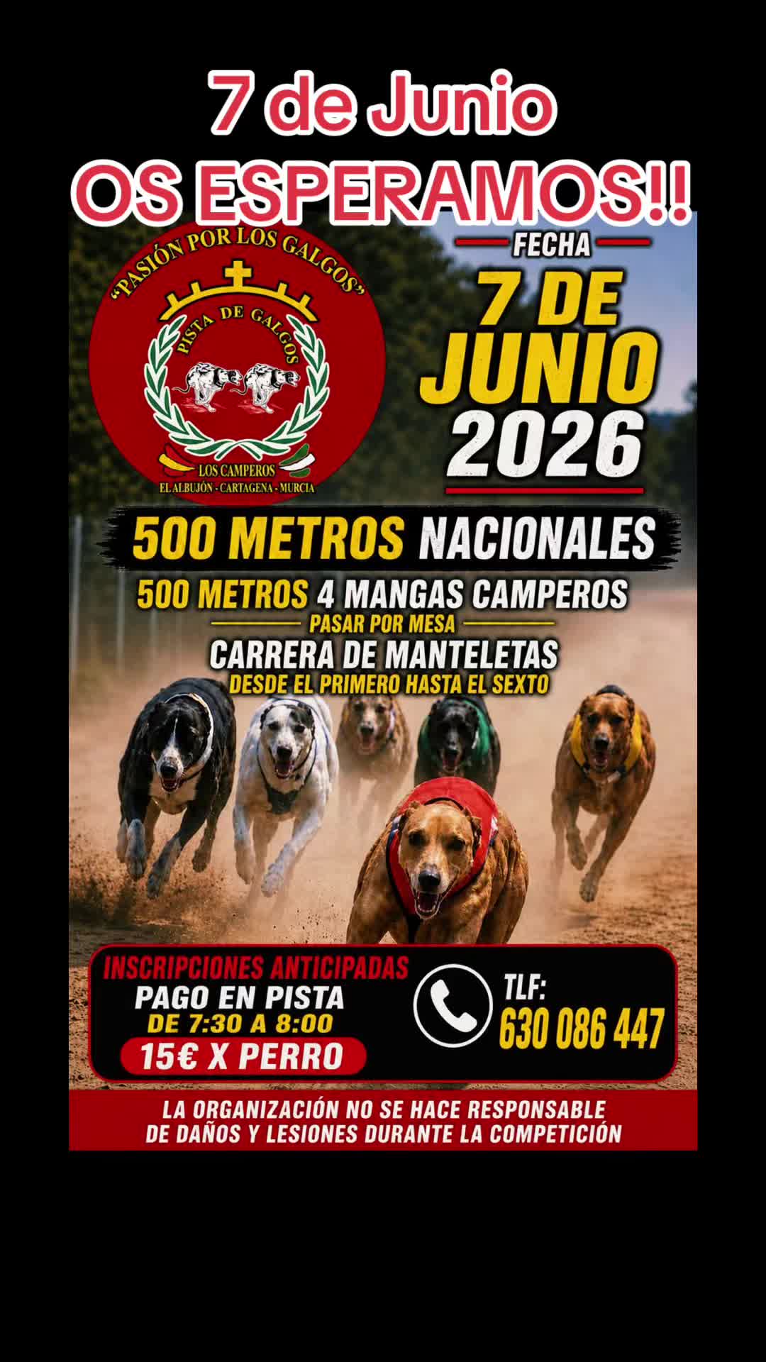 @El_Pencho_Cinegeticas