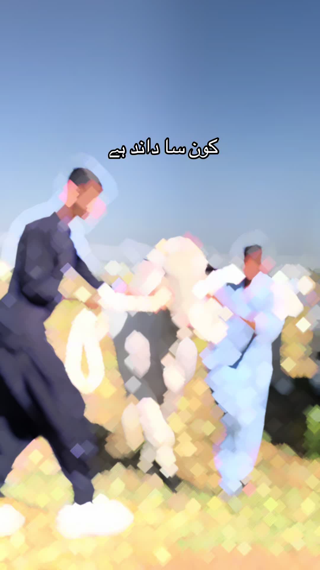 @👑💫پوٹھوہار داندی گروپ⚡️👑
