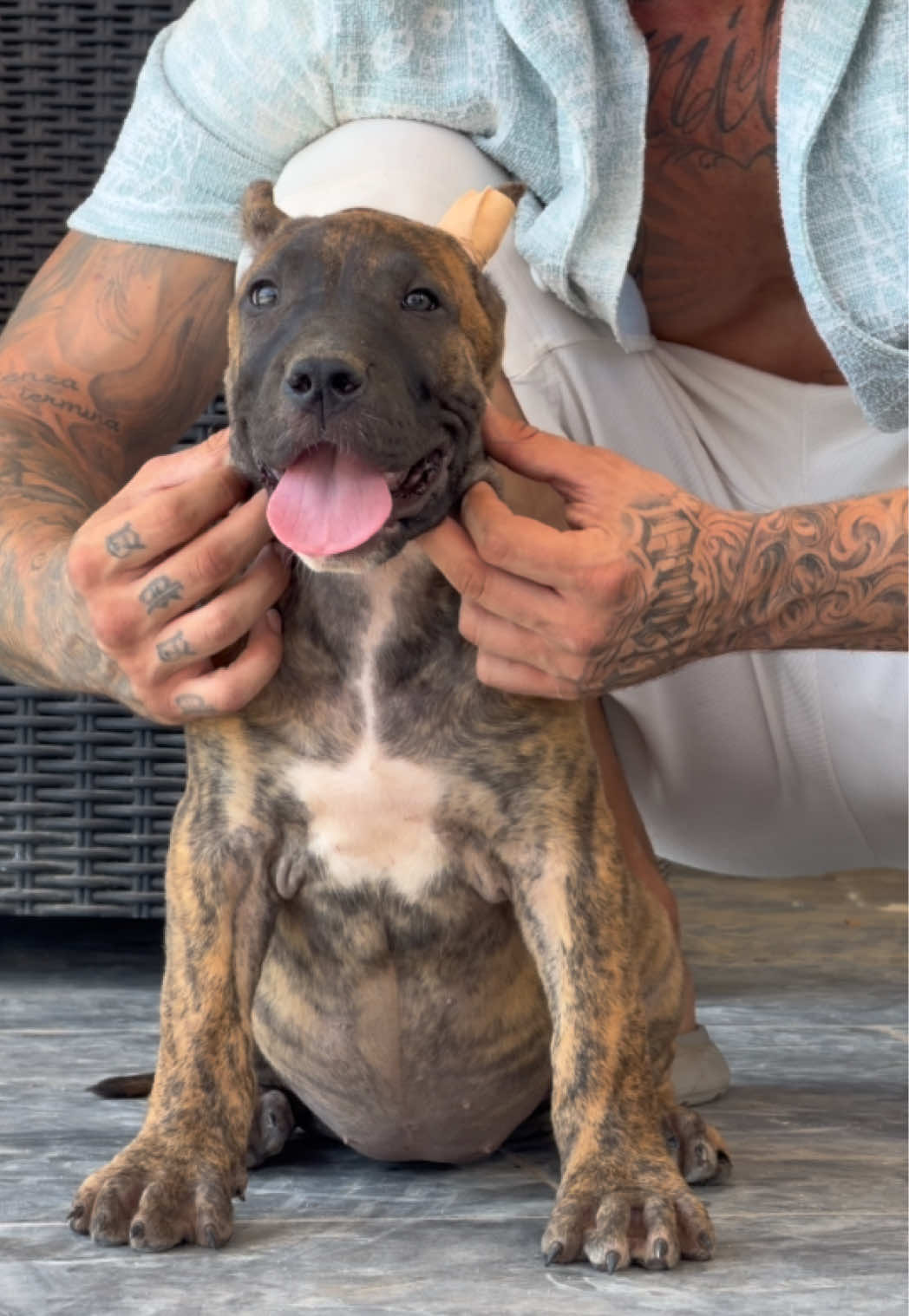 @Alberto Presa Canario Sanz