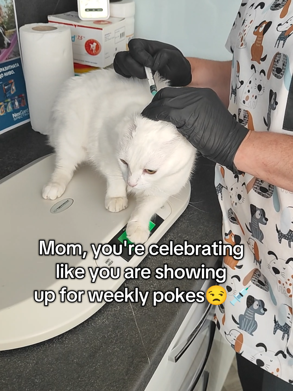 @Fluffy and Pixie