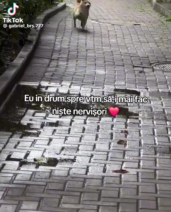 @❤️praf de stele❤️