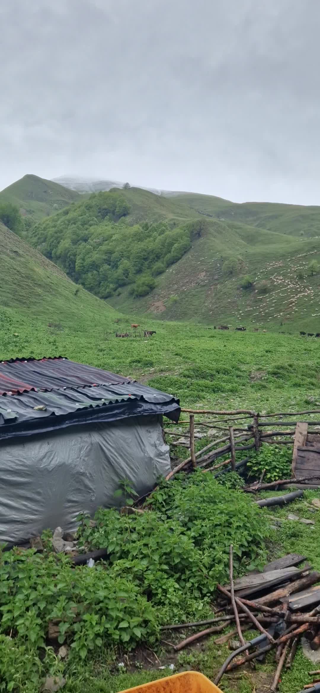 @ABUMAXMUT
