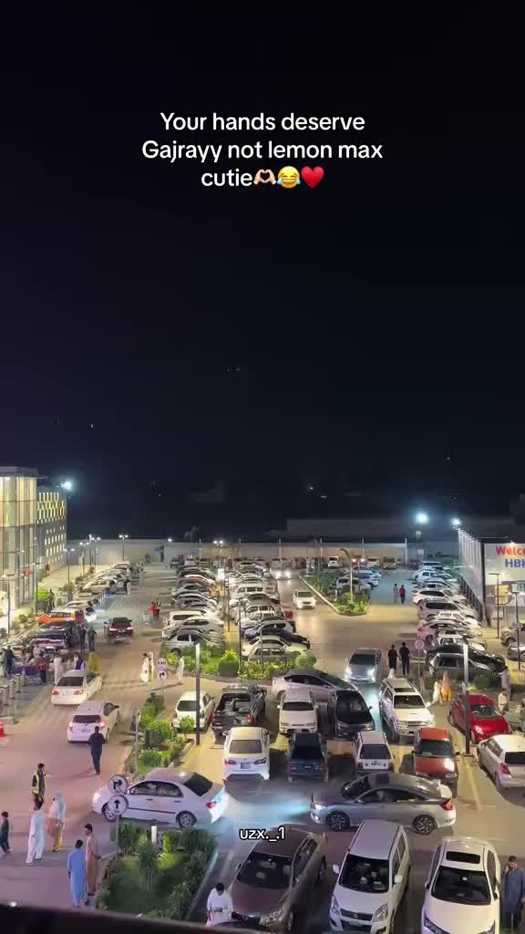@چوہدری روشان🚩