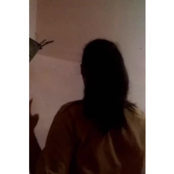 @laidew