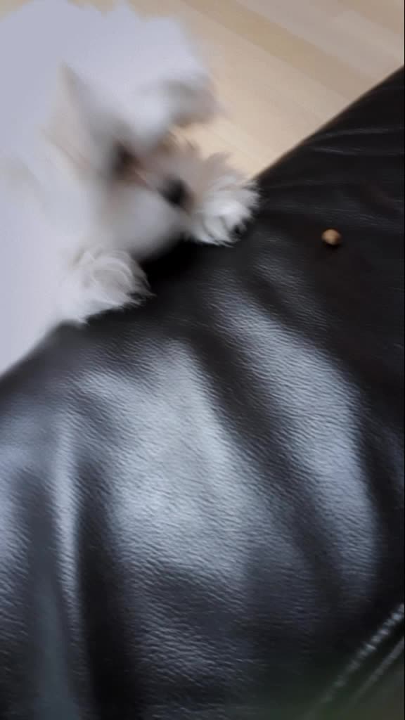 @구름이의 일상