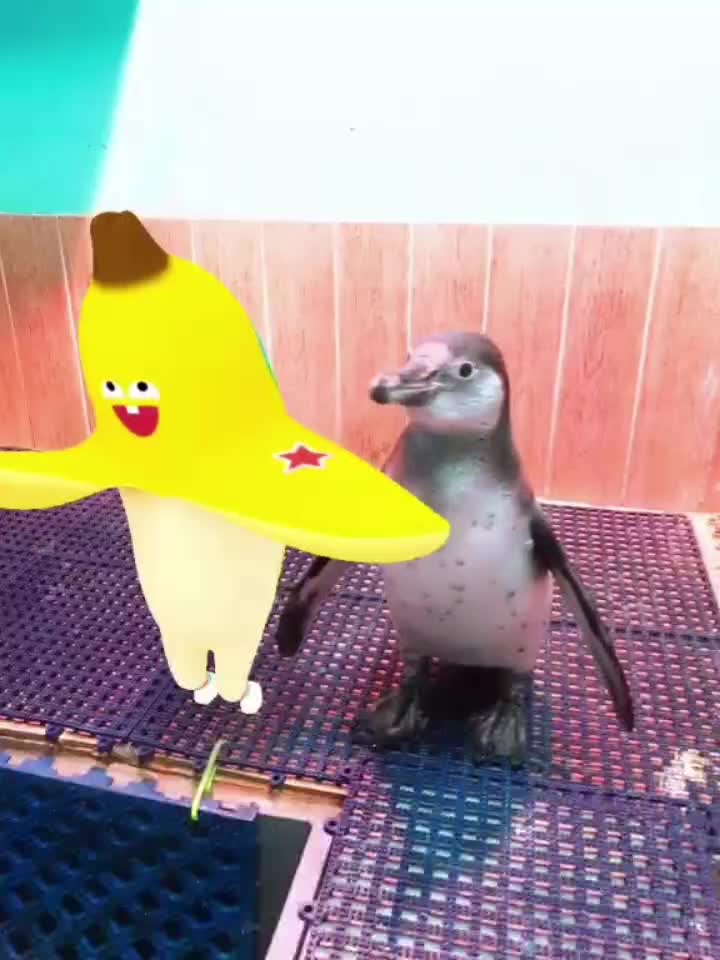 @수지큐